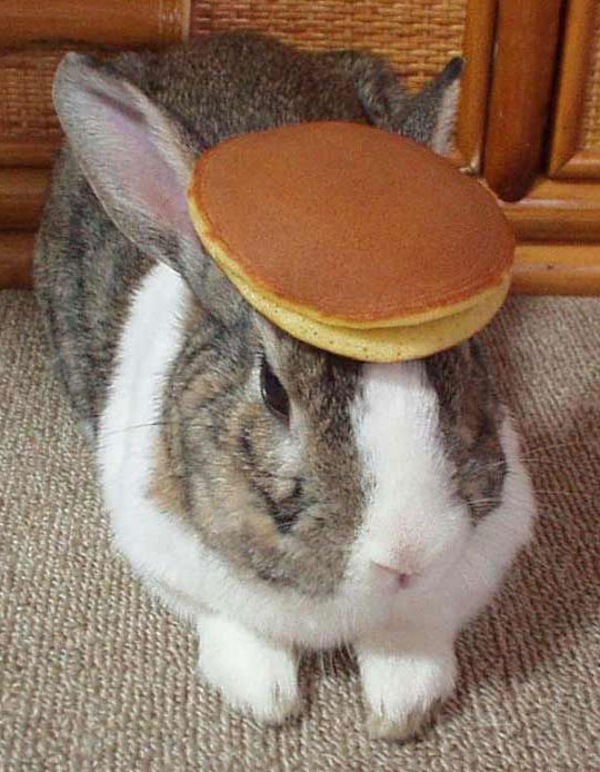 Bunny Pancake Picture