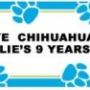 Chihuahua Personalized Birthday Party Banner