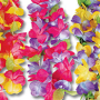 Hawaiian Flower Leis for your Luau Party