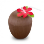Coconut Cups make the Perfect Luau Party Favor