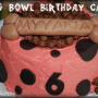 Dog Bowl Birthday Cake