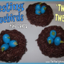 How to Make Nesting Bluebirds Mini Cakes