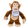 Crazy Monkey Toy that throws a Tantrum
