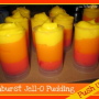 How to Make Sunburst Frozen Jell-O Pudding Push Ups