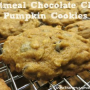 Oatmeal Chocolate Chip Pumpkin Cookie Recipe