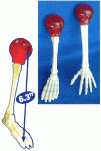 Crazy Bones Lollipops