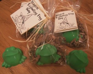 harry-potter-birthday-party-favor-