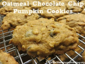 oatmeal chocolate chip pumpkin cookies